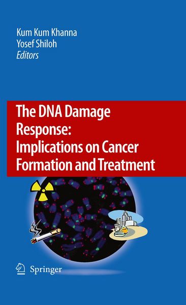 Produktbild: The DNA Damage Response: Implications on Cancer Formation and Treatment