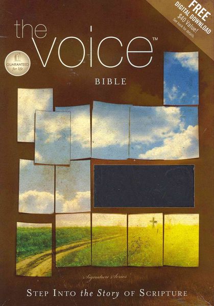 Produktbild: Voice Bible-VC: Step Into the Story of Scripture