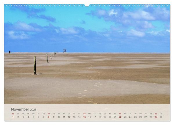 Produktbild: Salzwiesen, Schafe und Watt - Westerhever, ein Naturparadies an der Nordsee (hochwertiger Premium Wandkalender 2026 DIN A2 quer), Kunstdruck in Hochglanz