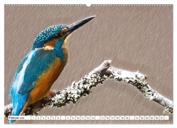 Produktbild: Schottlands Vogelwelt - Ein Portr&auml;t in Zeichnungen (hochwertiger Premium Wandkalender 2026 DIN A2 quer), Kunstdruck in Hochglanz