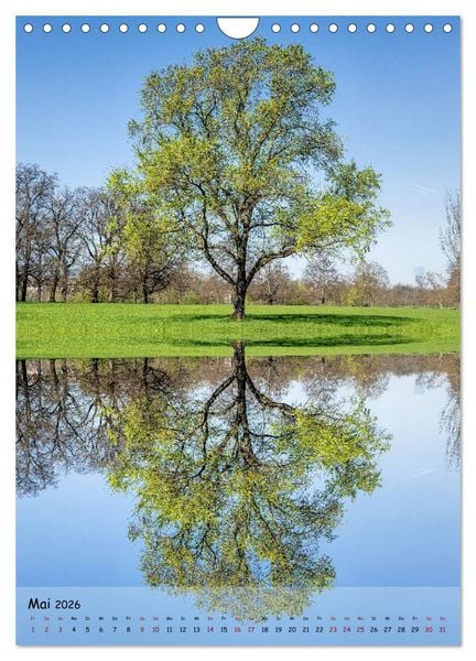 Produktbild: Spiegelb&auml;ume (Wandkalender 2026 DIN A4 hoch), CALVENDO Monatskalender