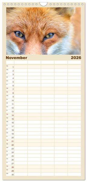 Produktbild: Familienplaner 2026 - Auf den Spuren der Stadtf&uuml;chse mit 5 Spalten (Wandkalender, 21 x 45 cm) CALVENDO