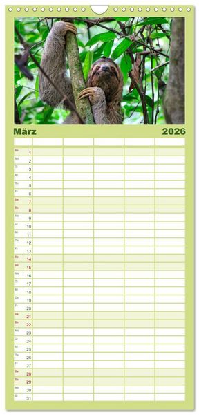 Produktbild: Familienplaner 2026 - Abh&auml;ngen - Faultier mit 5 Spalten (Wandkalender, 21 x 45 cm) CALVENDO