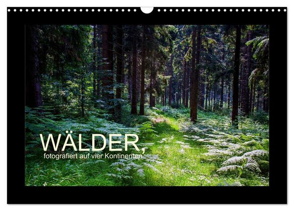 Produktbild: W&auml;lder, fotografiert auf vier Kontinenten (Wandkalender 2026 DIN A3 quer), CALVENDO Monatskalender