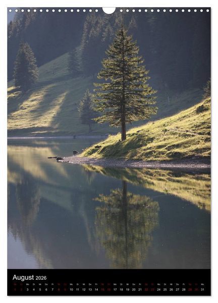 Produktbild: B&auml;ume - Stilles Leben (Wandkalender 2026 DIN A3 hoch), CALVENDO Monatskalender