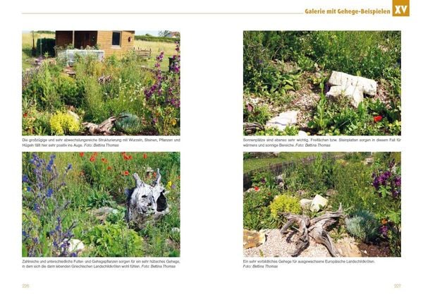 Produktbild: Freigehege f&uuml;r Europ&auml;ische Landschildkr&ouml;ten