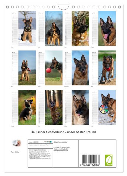 Produktbild: Deutscher Sch&auml;ferhund - unser bester Freund (Wandkalender 2026 DIN A4 hoch), CALVENDO Monatskalender