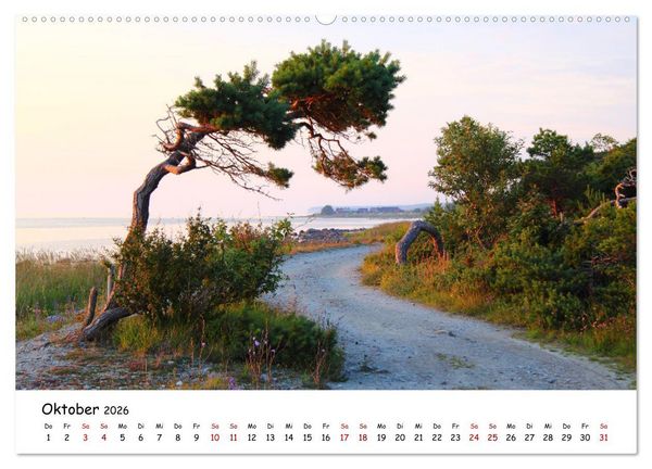Produktbild: Gotland Impressionen (Wandkalender 2026 DIN A2 quer), CALVENDO Monatskalender