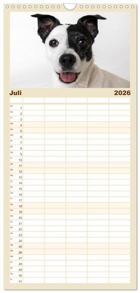 Produktbild: Familienplaner 2026 - Kleine Hunde - Gro&szlig;e Blicke mit 5 Spalten (Wandkalender, 21 x 45 cm) CALVENDO