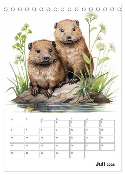 Produktbild: Unsere Tiere des Waldes (Tischkalender 2026 DIN A5 hoch), CALVENDO Monatskalender