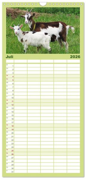 Produktbild: Familienplaner 2026 - Wer zickt denn da? Mit Ziegen durchs Jahr mit 5 Spalten (Wandkalender, 21 x 45 cm) CALVENDO