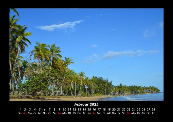 Produktbild: Palmentraum 2025 Fotokalender DIN A3