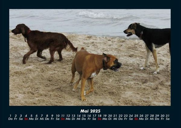 Produktbild: Str&auml;nde der Welt 2025 Fotokalender DIN A4