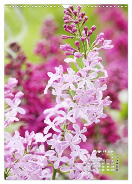 Produktbild: Fliederbl&uuml;te (Wandkalender 2026 DIN A3 hoch), CALVENDO Monatskalender