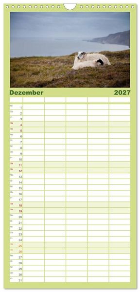 Produktbild: Familienplaner 2027 - Schafe - Weich und wollig mit 5 Spalten (Wandkalender, 21 x 45 cm) CALVENDO