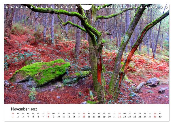 Produktbild: Jakobsweg - Camino Portugues Central (Wandkalender 2026 DIN A4 quer), CALVENDO Monatskalender