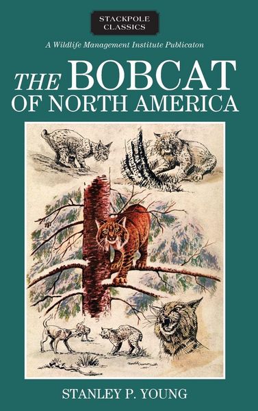 Produktbild: Bobcat of North America