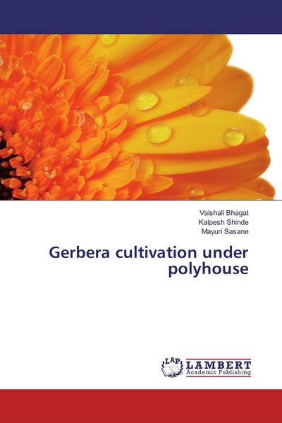 Produktbild: Gerbera cultivation under polyhouse