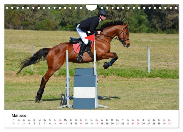 Produktbild: Vielseitigkeitsreiten (Wandkalender 2026 DIN A4 quer), CALVENDO Monatskalender