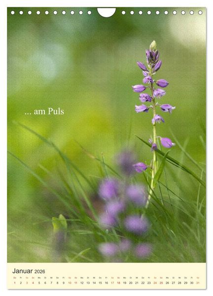 Produktbild: flowers (Wandkalender 2026 DIN A4 hoch), CALVENDO Monatskalender