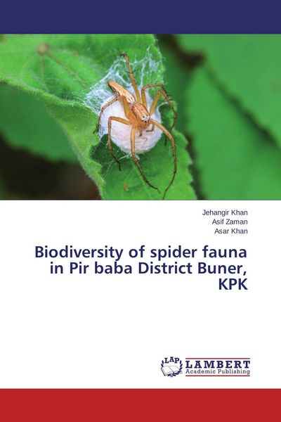 Produktbild: Biodiversity of spider fauna in Pir baba District Buner, KPK