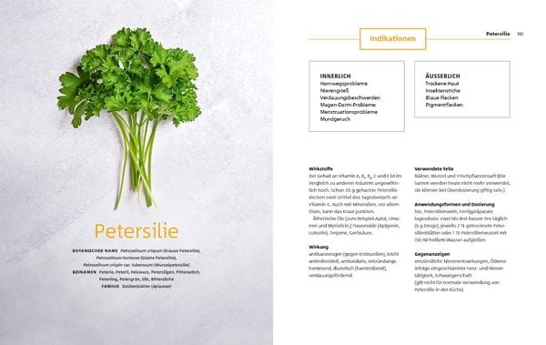 Produktbild: 10 Kr&auml;uter gegen 100 Krankheiten