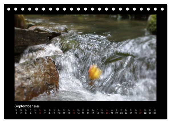 Produktbild: Enten-Rennen (Tischkalender 2026 DIN A5 quer), CALVENDO Monatskalender