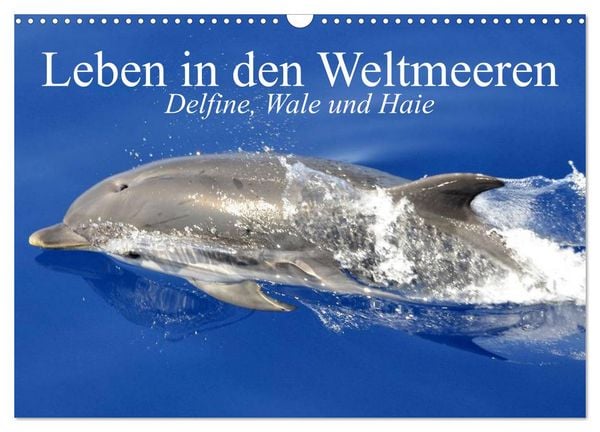 Produktbild: Leben in den Weltmeeren. Delfine, Wale und Haie (Wandkalender 2026 DIN A3 quer), CALVENDO Monatskalender