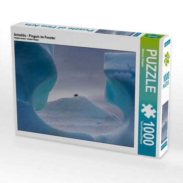 Antarktis - Pinguin im Fenster (Puzzle)