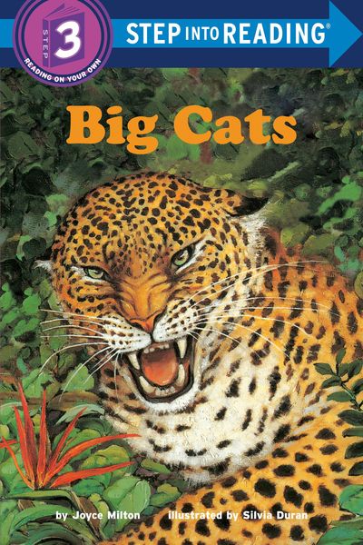 Produktbild: Big Cats