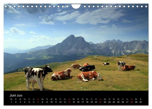 Produktbild: S&uuml;dtirol, die Perle Italiens (Wandkalender 2026 DIN A4 quer), CALVENDO Monatskalender