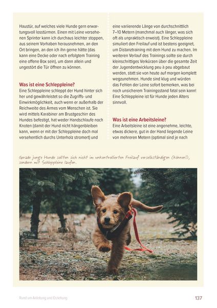 Produktbild: Ein Hund und 1000 Fragen