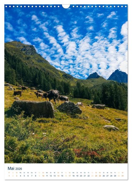 Produktbild: Sommer in &Ouml;sterreich - sonnige Tage in den Bergen (Wandkalender 2026 DIN A3 hoch), CALVENDO Monatskalender