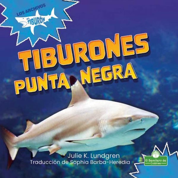 Produktbild: Tiburones Punta Negra (Blacktip Reef Sharks)