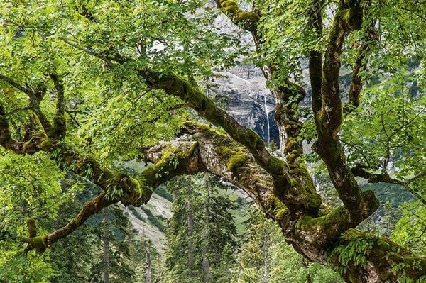 Produktbild: Karwendel
