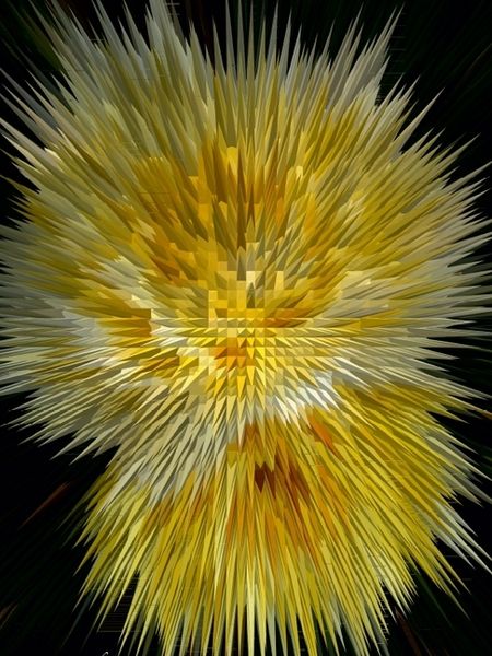 Produktbild: CALVENDO Puzzle Flower Explosion I PHOTO ART&deg; by Rosemarie Hofer | 1000 Teile Lege-Gr&ouml;&szlig;e 64x48cm Foto-Puzzle f&uuml;r gl&uuml;ckliche Stunden