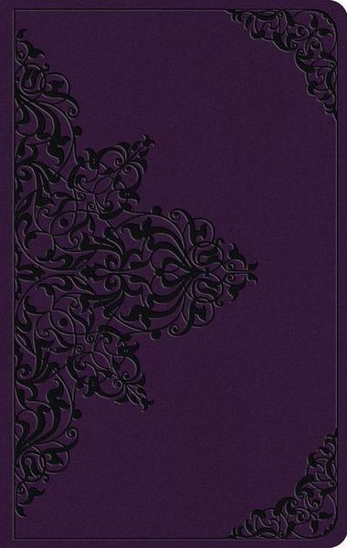 Produktbild: ESV Large Print Value Thinline Bible
