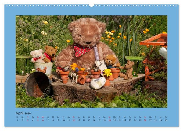 Produktbild: Teddys Meine Freunde (Wandkalender 2026 DIN A2 quer), CALVENDO Monatskalender
