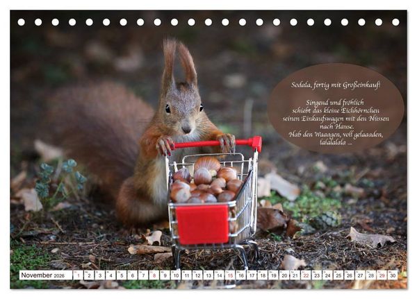 Produktbild: Eichh&ouml;rnchen - Lustige Kurzgeschichten mit den quirligen Wildtieren (Tischkalender 2026 DIN A5 quer), CALVENDO Monatskalender