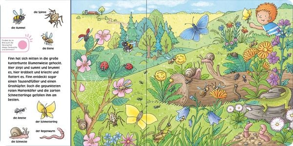 Produktbild: Hör mal (Soundbuch): Wimmelbuch: Am Wasser