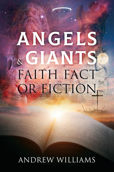 Produktbild: Angels & Giants Faith Fact or Fiction