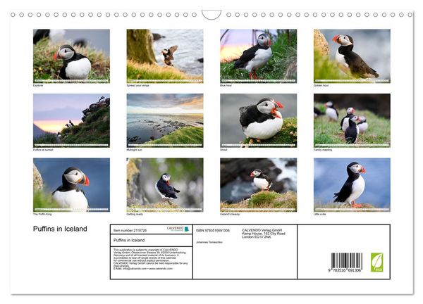 Produktbild: Puffins in Iceland (Wall Calendar 2026 DIN A3 landscape), CALVENDO 12 Month Wall Calendar