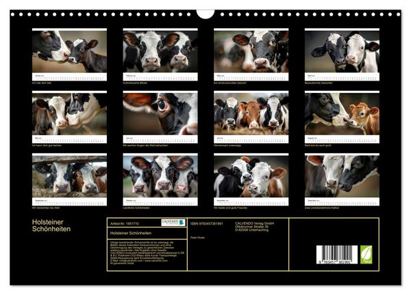 Produktbild: Holsteiner Sch&ouml;nheiten (Wandkalender 2026 DIN A3 quer), CALVENDO Monatskalender
