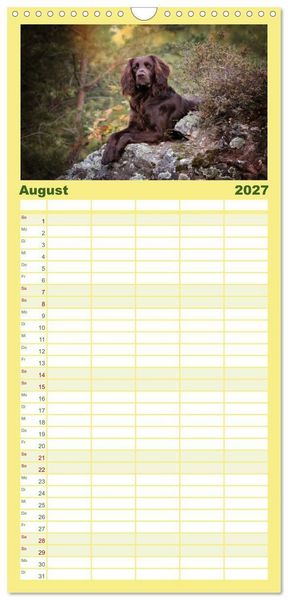 Produktbild: Familienplaner 2027 - Passion Jagdhund - Deutsch Langhaar mit 5 Spalten (Wandkalender, 21 x 45 cm) CALVENDO