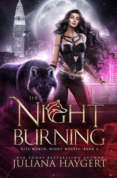 Produktbild: The Night Burning