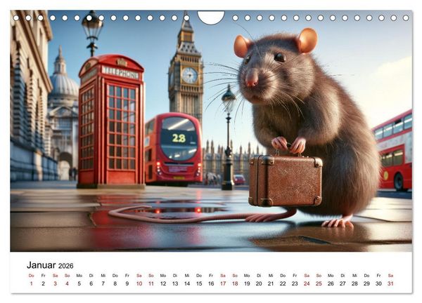 Produktbild: Ratten auf Reisen (Wandkalender 2026 DIN A4 quer), CALVENDO Monatskalender