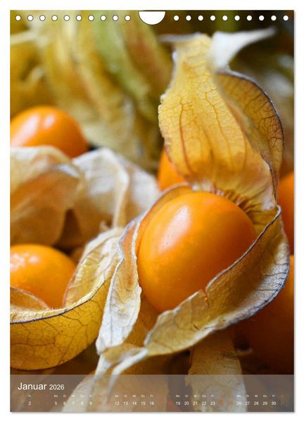 Produktbild: Blaubeeren, Himbeeren & Co - Makrofotografie in der K&uuml;che (Wandkalender 2026 DIN A4 hoch), CALVENDO Monatskalender