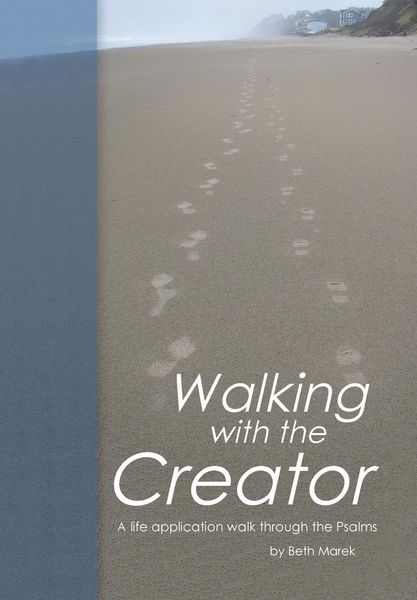 Produktbild: Walking with the Creator