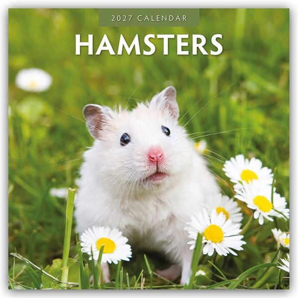 Produktbild: Hamsters &ndash; Hamster 2027 &ndash; 16-Monatskalender