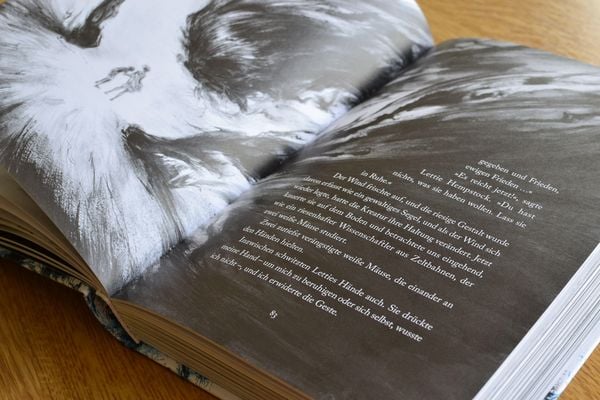 Produktbild: Der Ozean am Ende der Stra&szlig;e